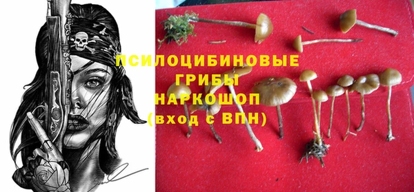 винт Иннополис