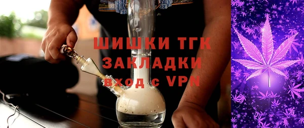 твердый Инта