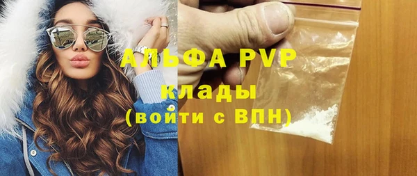 твердый Инта