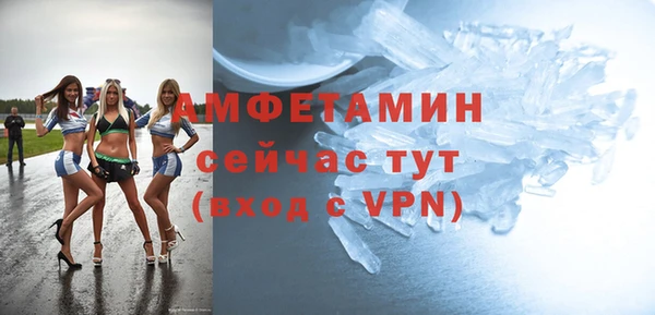 твердый Инта